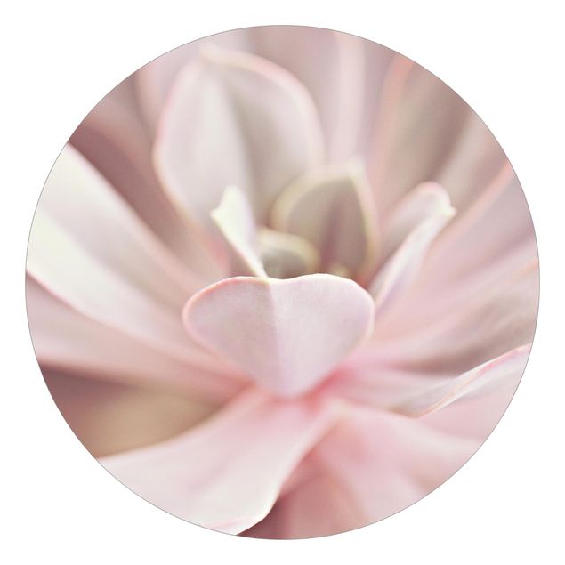 Self-adhesive round wallpaper - Light Pink Succulent Flower