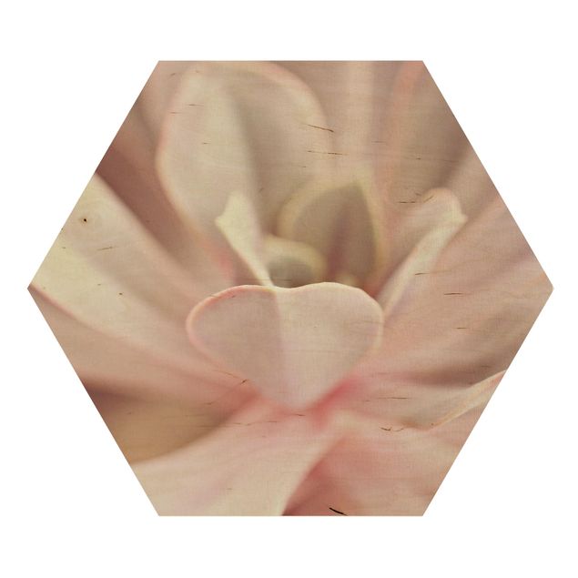 Wooden hexagon - Light Pink Succulent Flower