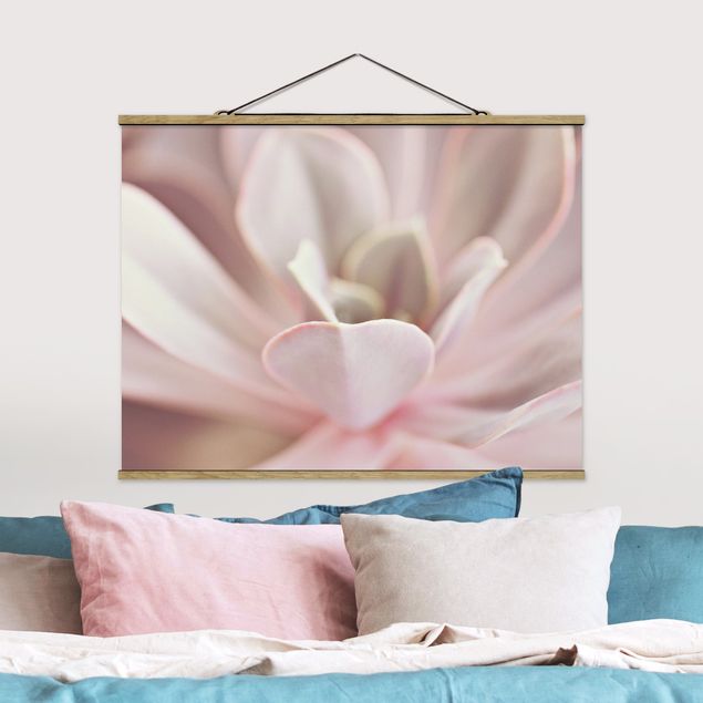 Fabric print with poster hangers - Light Pink Succulent Flower - Landscape format 4:3