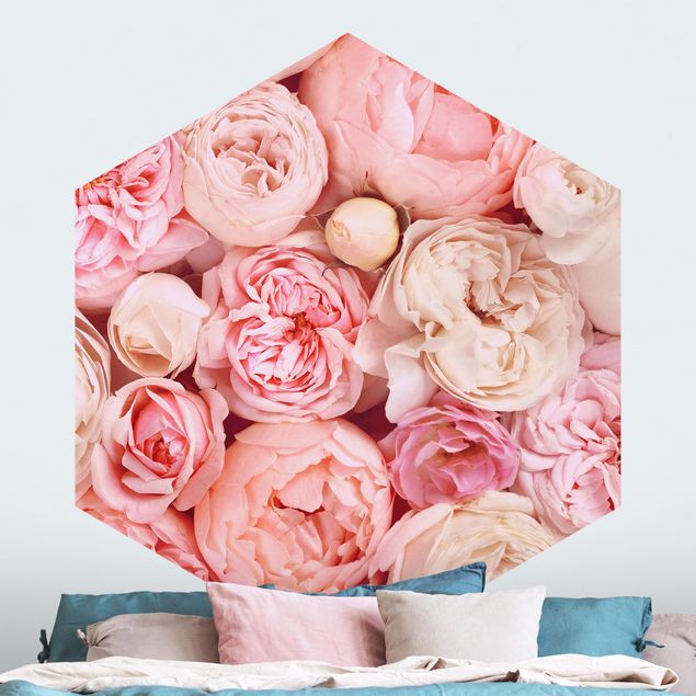 Wallpapers Roses Rosé Coral Shabby