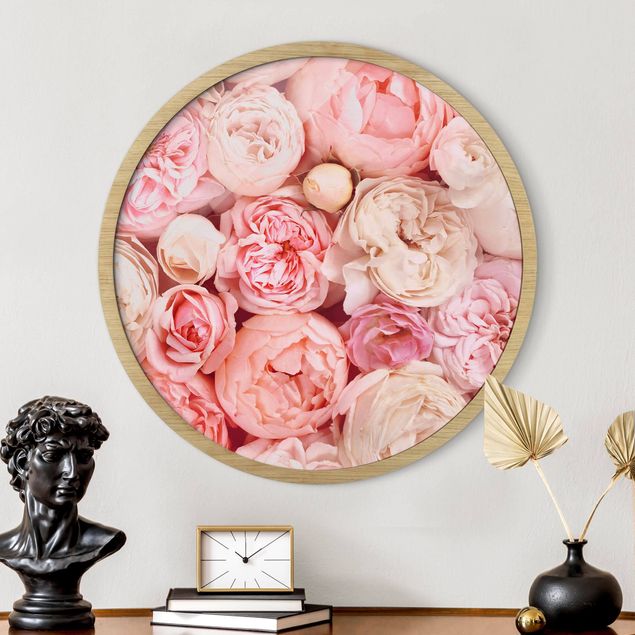 Framed prints round Roses Rosé Coral Shabby