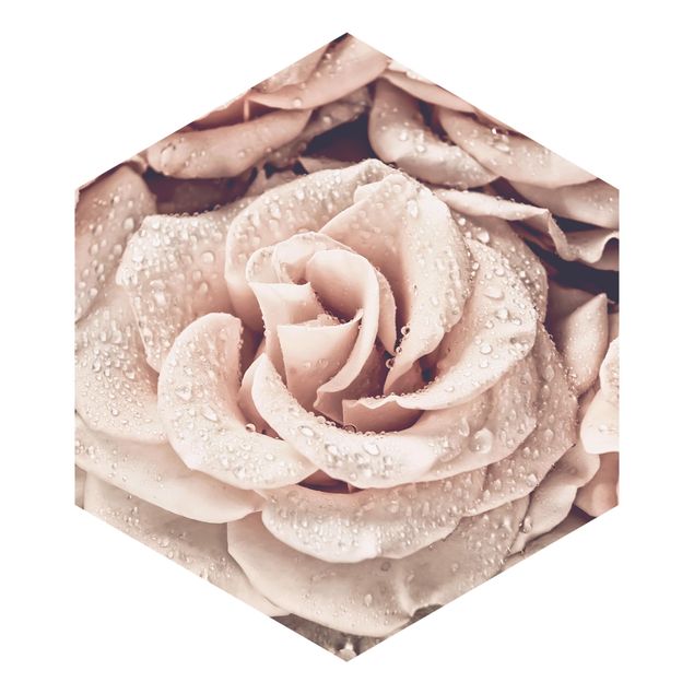 Self-adhesive hexagonal pattern wallpaper - Roses Sepia With Water Drops