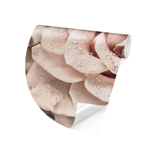 Self-adhesive round wallpaper - Roses Sepia With Water Drops