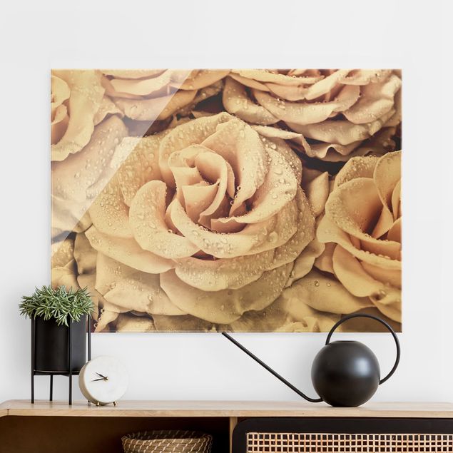Glas Magnetboard Roses Sepia With Water Drops