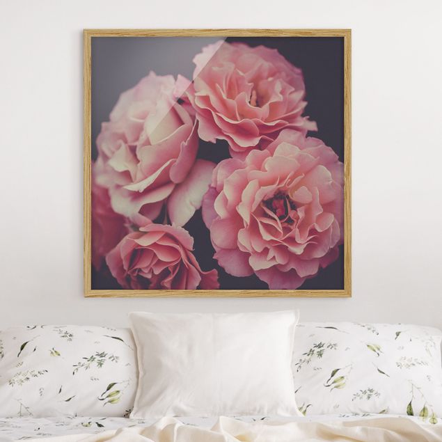 Framed poster - Paradisical Roses