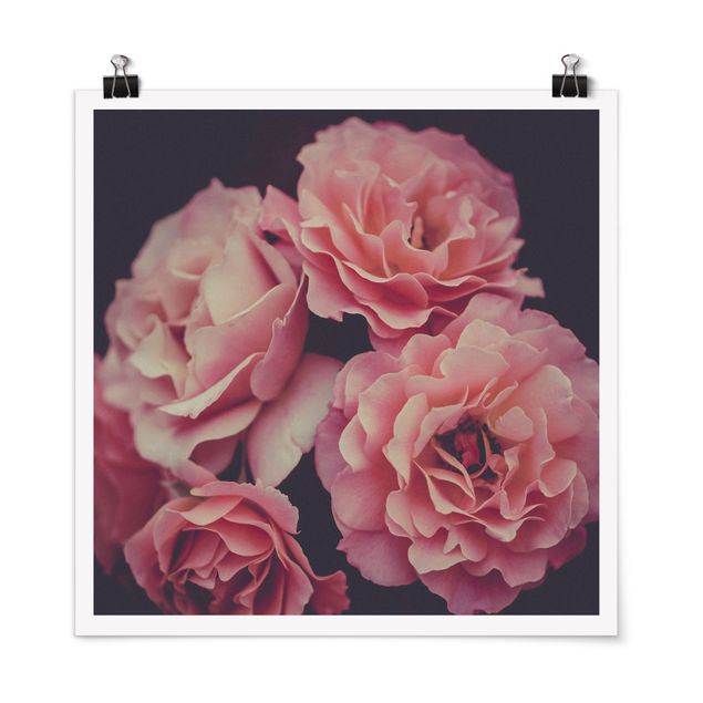 Poster - Paradisical Roses