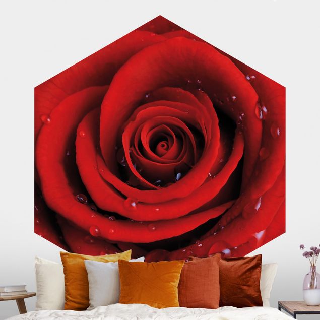 Hexagonal wall mural Red Rose With Water Drops