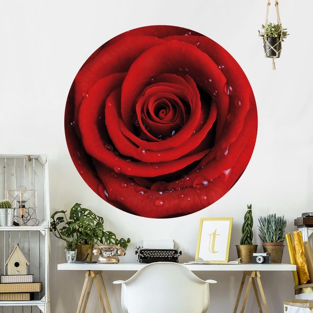 Self-adhesive round wallpaper - Red Rose With Water Drops