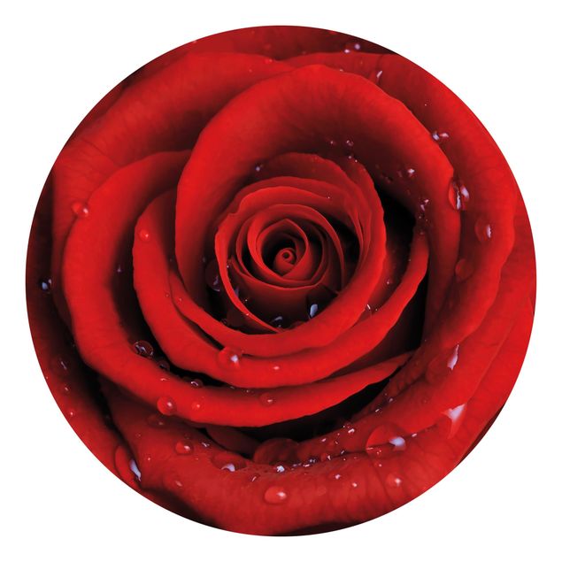 Self-adhesive round wallpaper - Red Rose With Water Drops