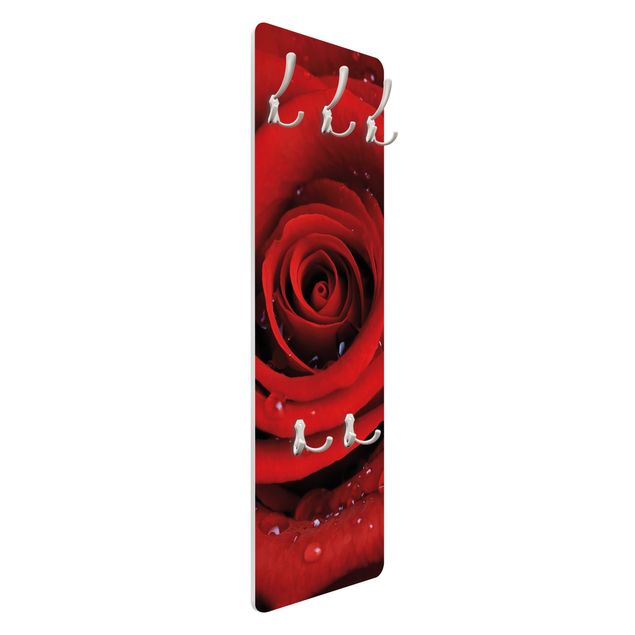 Coat rack - Red Rose With Water Drops