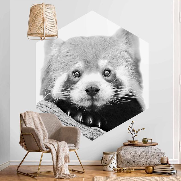 Self-adhesive hexagonal pattern wallpaper - Red Panda In Black And White
