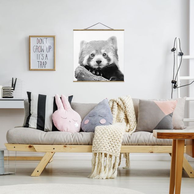 Fabric print with poster hangers - Red Panda In Black And White - Square 1:1