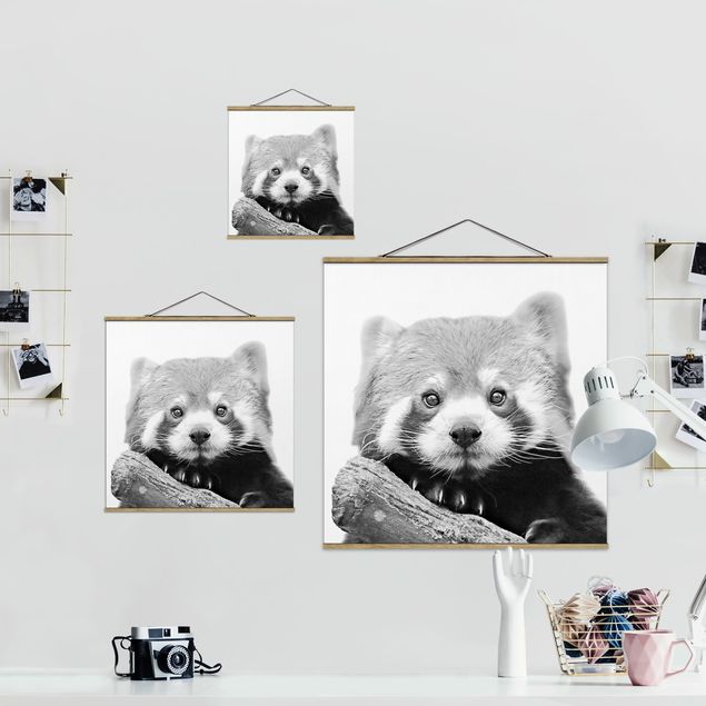 Fabric print with poster hangers - Red Panda In Black And White - Square 1:1