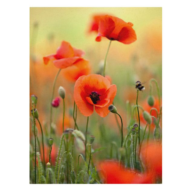 Natural canvas print - Red Summer Poppy - Portrait format 3:4