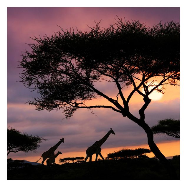Wallpaper - African Safari