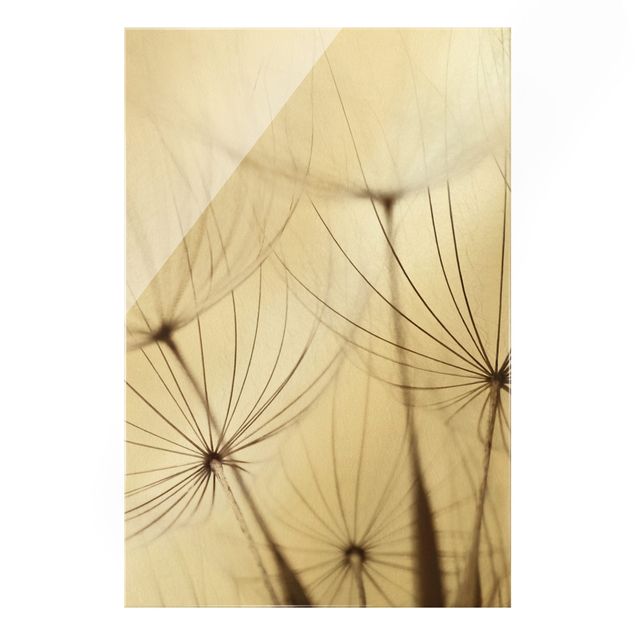 Glass print - Gentle Grasses - Portrait format