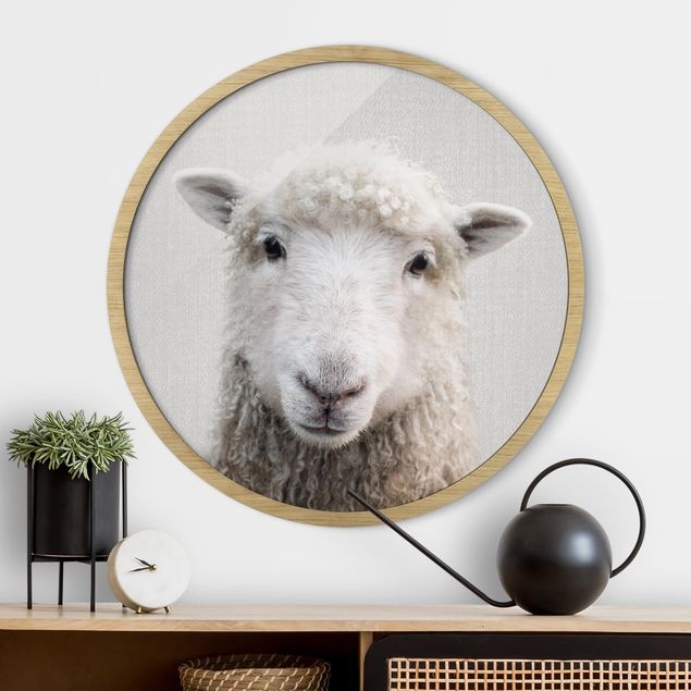 Framed prints round Sheep Steffi