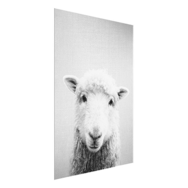 Glass print - Sheep Steffi Black And White