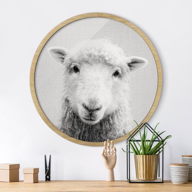 Framed prints round Sheep Steffi Black And White