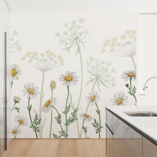 Wallpaper - Achillea and daisy