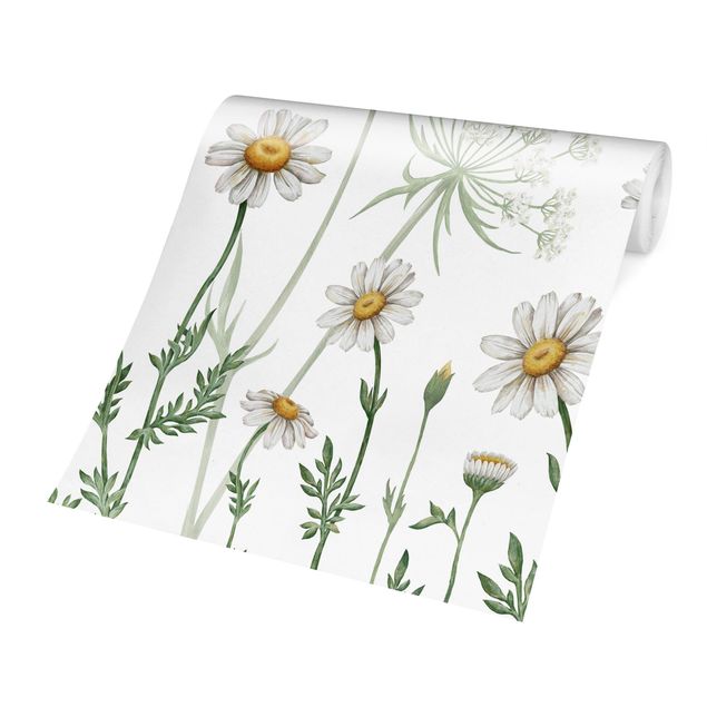 Wallpaper - Achillea and daisy