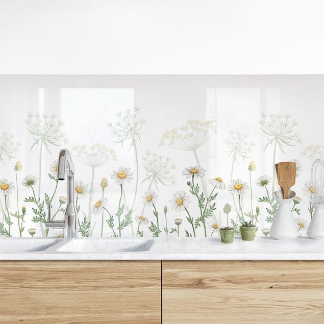 Kitchen splashback flower Achillea and daisy