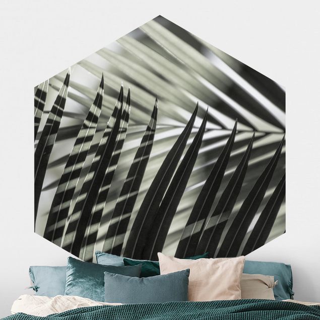 Self-adhesive hexagonal wall mural Interplay Of Shaddow And Light On Palm Fronds