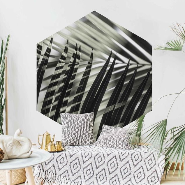 Self-adhesive hexagonal pattern wallpaper - Interplay Of Shaddow And Light On Palm Fronds