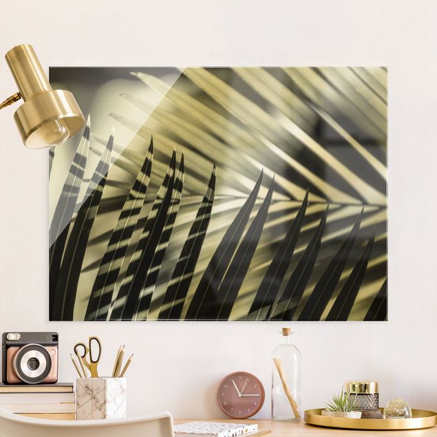 Glass print - Interplay Of Shaddow And Light On Palm Fronds - Landscape format