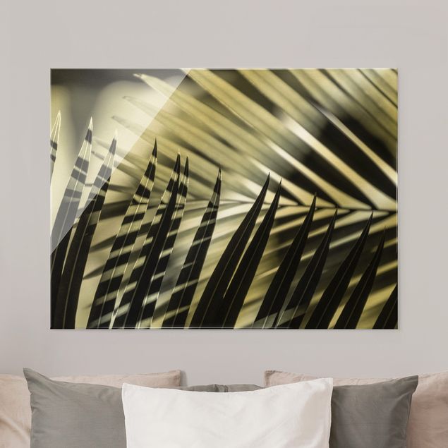 Glass print - Interplay Of Shaddow And Light On Palm Fronds - Landscape format