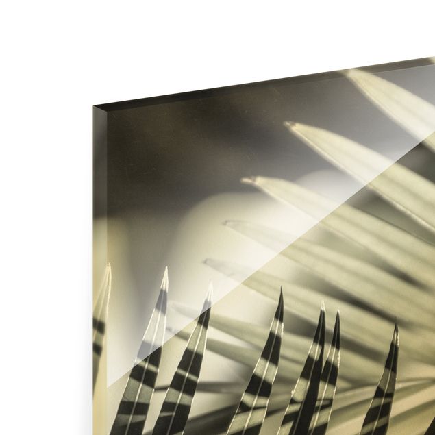 Glass print - Interplay Of Shaddow And Light On Palm Fronds - Portrait format