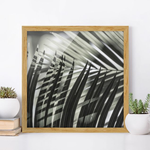 Framed poster - Interplay Of Shaddow And Light On Palm Fronds