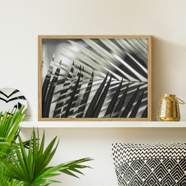 Framed poster - Interplay Of Shaddow And Light On Palm Fronds