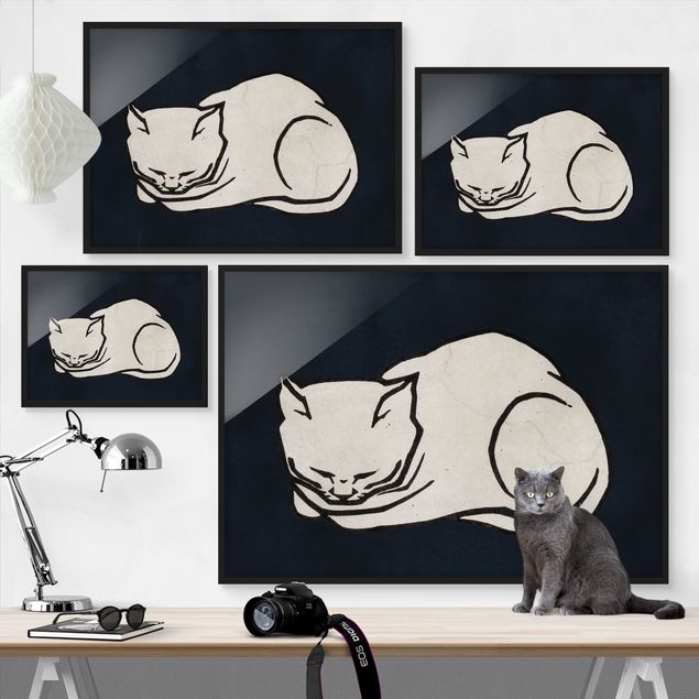 Framed poster - Sleeping Cat Illustration
