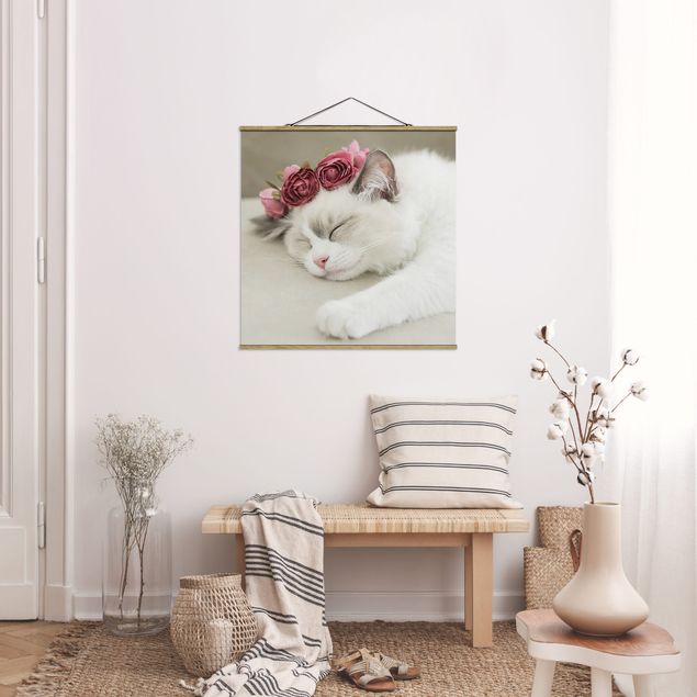 Fabric print with poster hangers - Sleeping Cat with Roses - Square 1:1