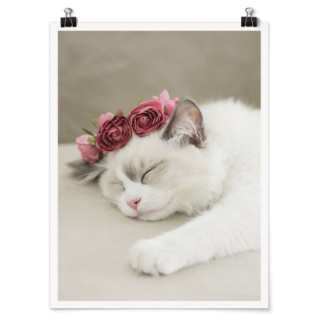 Poster - Sleeping Cat with Roses