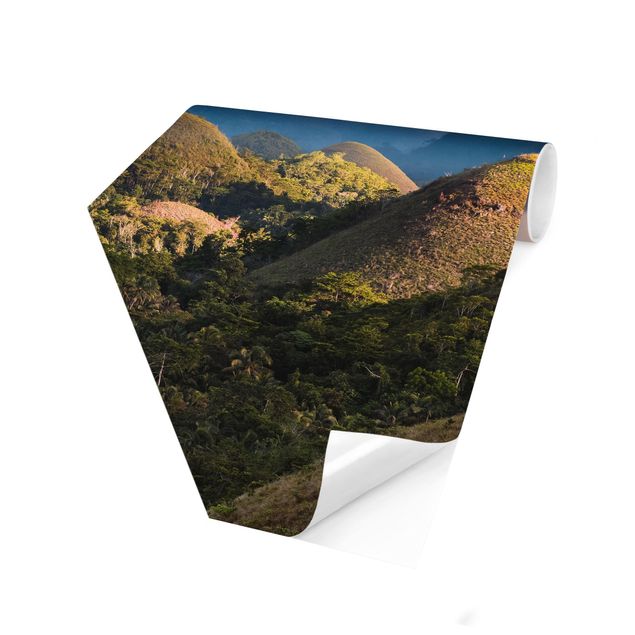 Self-adhesive hexagonal pattern wallpaper - Chocolate Hills Landscape