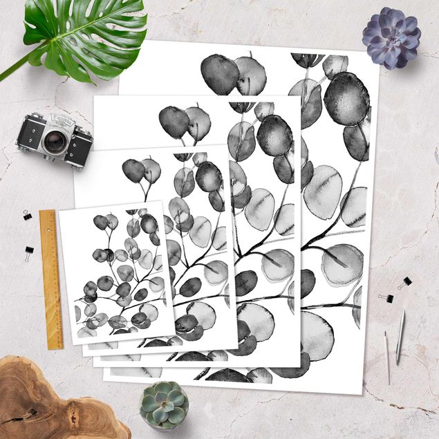 Poster - Black And White Eucalyptus Twig Watercolour