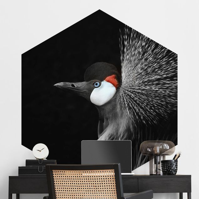 Self-adhesive hexagonal wall mural Black Crowned Crane