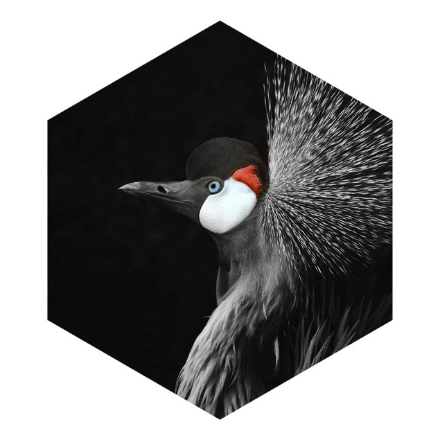 Self-adhesive hexagonal pattern wallpaper - Black Crowned Crane