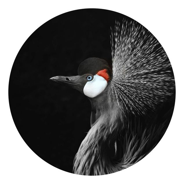 Self-adhesive round wallpaper - Black Crowned Crane