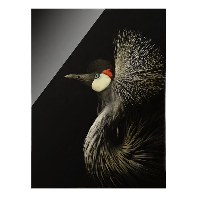 Glass print - Black Crowned Crane - Portrait format