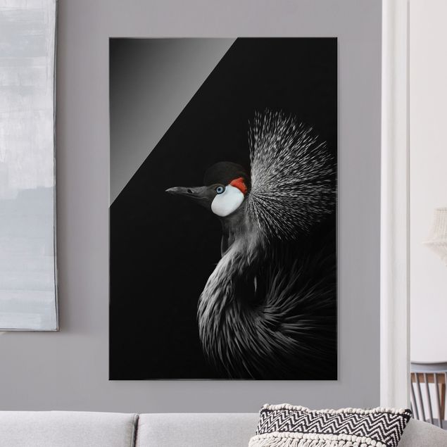 Glass print - Black Crowned Crane