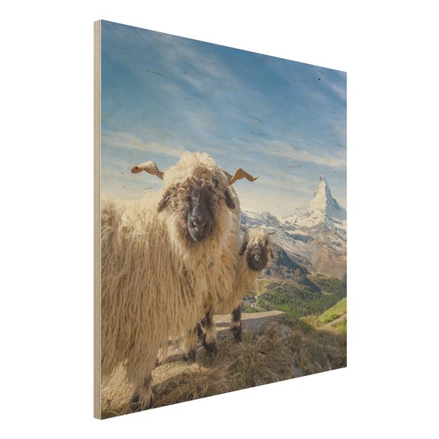 Wood print - Blacknose Sheep Of Zermatt