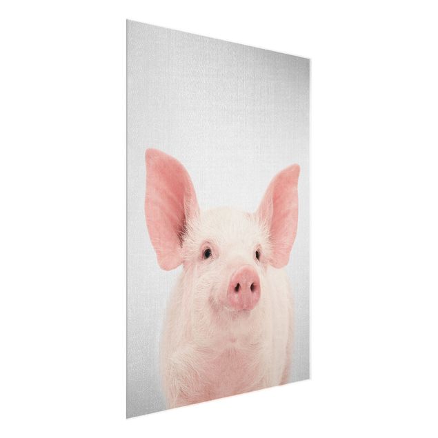 Glass print - Pig Shorsh