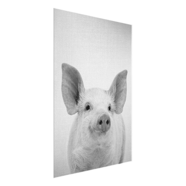 Glass print - Pig Shorsh Black And White