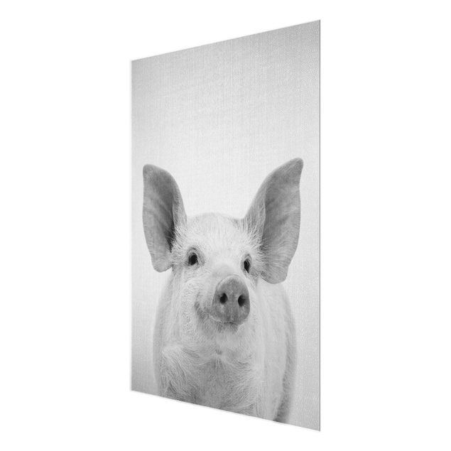 Glass print - Pig Shorsh Black And White