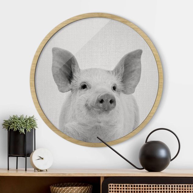 Framed prints round Pig Shorsh Black And White