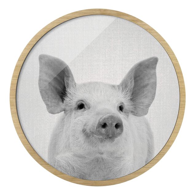Circular framed print - Pig Shorsh Black And White