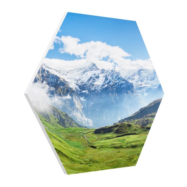 Forex hexagon - Swiss Alpine Panorama